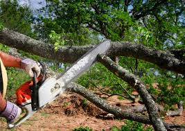 Best Lawn Drainage Solutions  in Garden City Park, NY